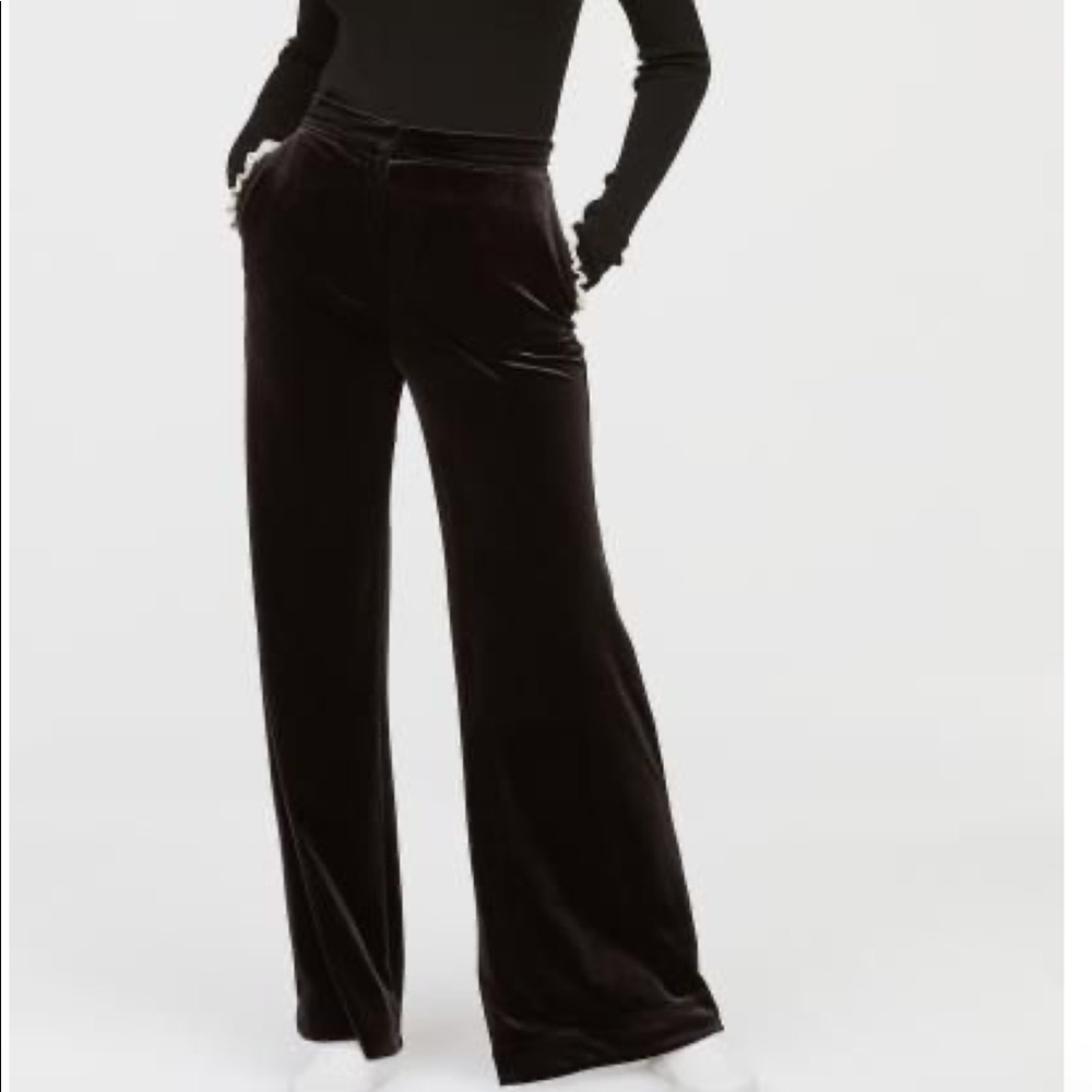 H&M BNWT Velvet High Waisted Pants